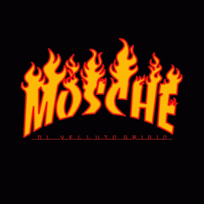 logo Mosche Di Velluto Grigio logo Mosche Di Velluto Grigio